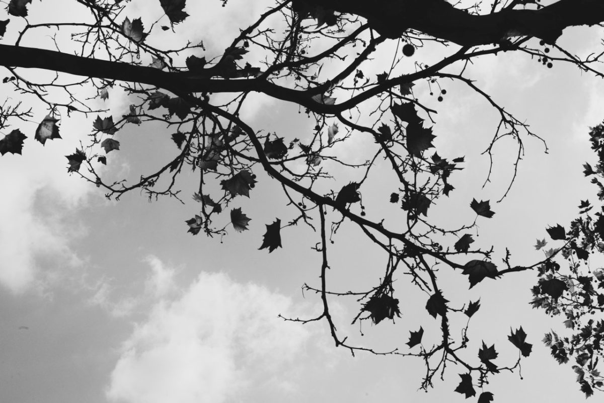 tumblr_mnb7pcW6AG1s84mzpo1_1280